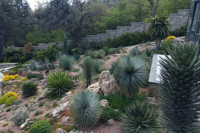 他の地域にある高級な広い、秋の地中海スタイルのおしゃれな庭 (ゼリスケープ、庭石、日向、傾斜地) の写真