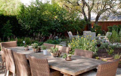 Yard of the Week: Outdoor Rooms in a Beautiful Low-Water Garden