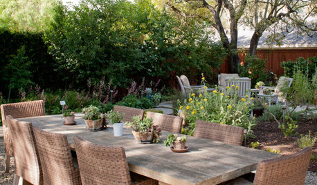 Yard of the Week: Outdoor Rooms in a Beautiful Low-Water Garden