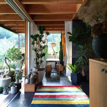 plantes intérieur