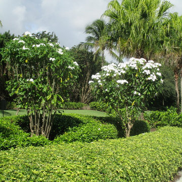Individual Plant Photos # 1:Customer Aid  (Not complete- hundreds will be here)