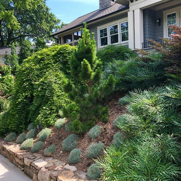 Front Garden Update: May, 2019