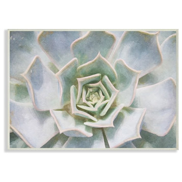 Succulent Plant Gentle Morning Dew Painting Wall Plaque Art, 10"x15"