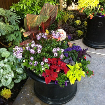 Poolside Patio and Containers