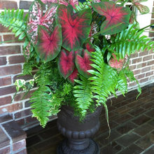 Meghan Flower Pot