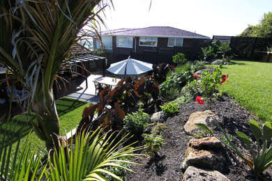 Tropical garden in Auckland.