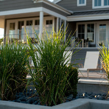 plantings