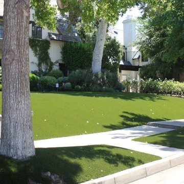 Turf