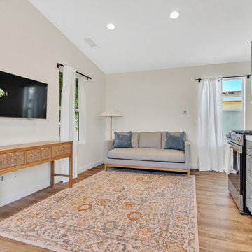 Kitchen / Living Area