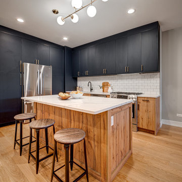 2448 W Diversey - New Construction Development