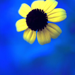 Photography Samples - Photographs