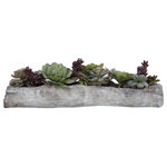 Uttermost - Charita Succulents - A lush mix of succulents in varying tones of greens and burgundy over a faux soil mixture, filling a solid concrete container resembling a life-like driftwood log.
