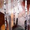 Aspen tree painting, birch tree, tree trunk, botanical nature forest wall art