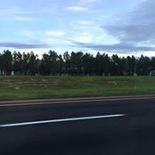 William Hayes's photo