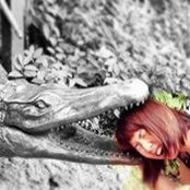 Foto von Danna Pang