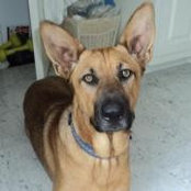 Laura Helton's photo