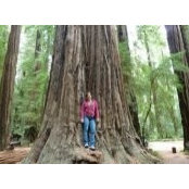 Rosie Sherman's photo
