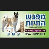 עלי שמי's photo