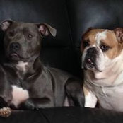 Wendy Smith's photo