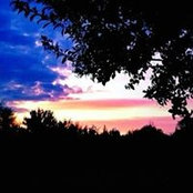 Kristen Rust's photo