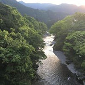 Matthew Wilson's photo
