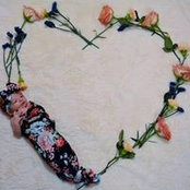Laura Fumich's photo