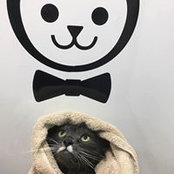 Samantha Phoenix's photo