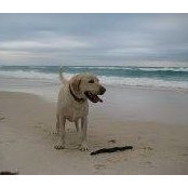 Travis Jarrett's photo