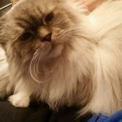 Laura Murphy's photo