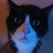 Babette Haines's photo