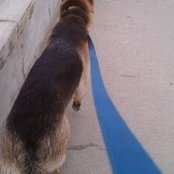 Travis Nelsen's photo