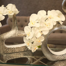 vases