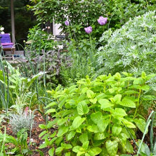 Kräutergarten