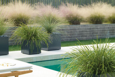 This is an example of a large contemporary drought-tolerant and full sun backyard concrete paver raised garden bed in New York for summer.