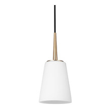 J & R Pendant Lighting
