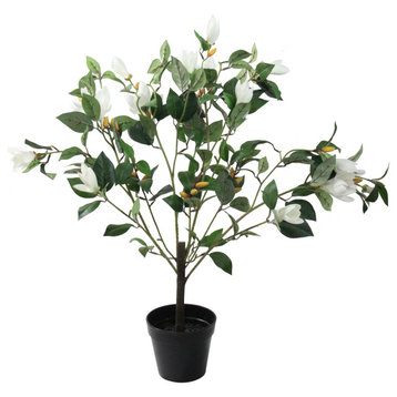 24" Decorative Artificial Potted Lily White Magnolia Topiary Tree