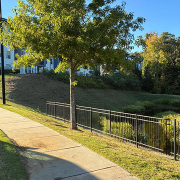 Pond Cleanup and Debris Removal