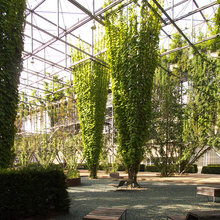 gorgeous garden