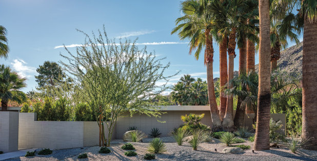 Palm Springs Modern Garden Tour