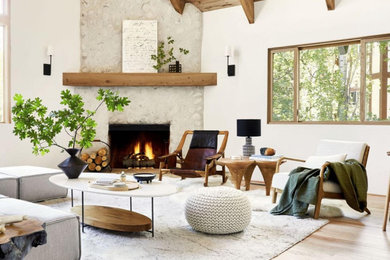 Inspiration for a contemporary living room remodel in Other