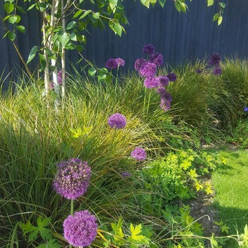 Contemporary Hot Tub Garden