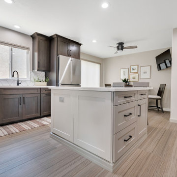 Kitchen & Living Area Remodel (Goldman)