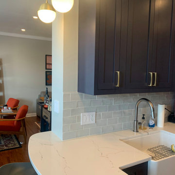 Condo Remodel - Lakeview West, Chicago, IL