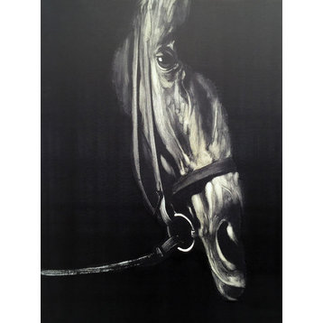 Wall Decor Painting Horse in the Dark IV