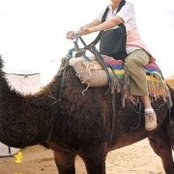 Joan Theve's photo
