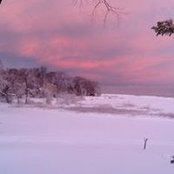 Jane Doyle's photo