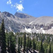 Anne Gast's photo