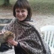 Cathy Quinn Kolbさんの写真