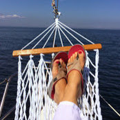 Cecilia Dahl's photo
