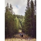 Ashlai Jambor's photo